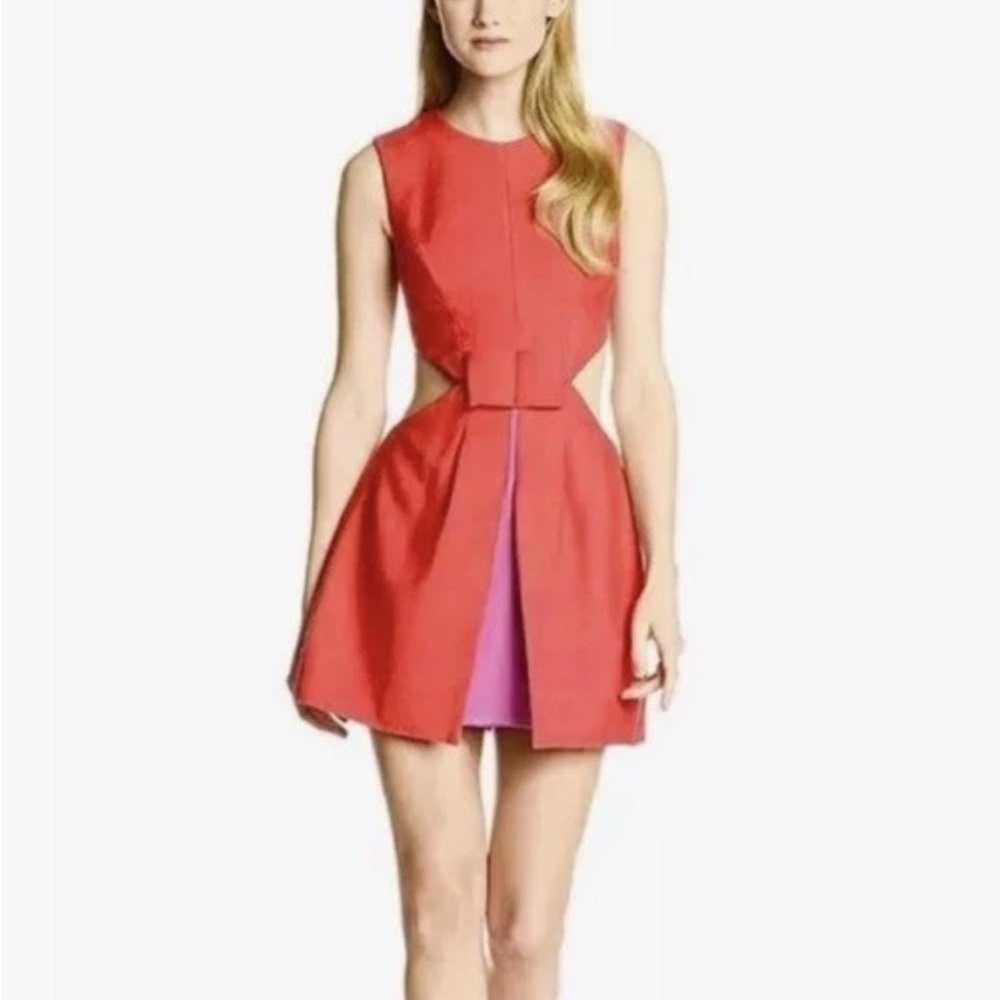BCBGMaxAzria Red and Pink Cutout Mini Dress 2